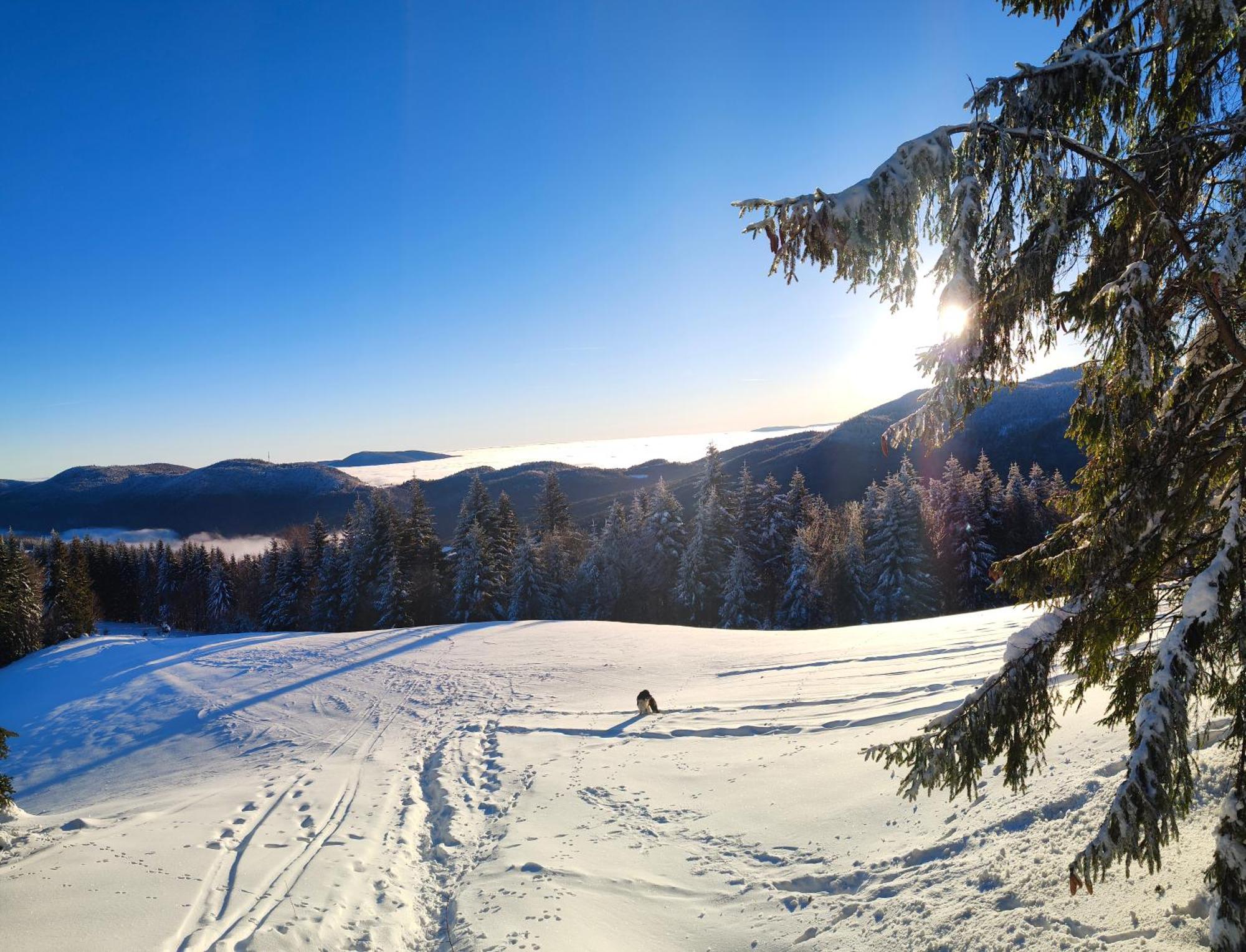 Bauernhof Na Szlaku Lubomierz (Lesser Poland)